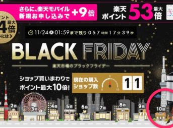 楽天ブラックフライデー2020買い回りマラソンで買ったもの